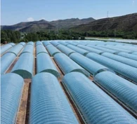 Парник полиэтиленовой пленки для сельского хозяйства с полной автоматизацией с датчиками экологического контроля