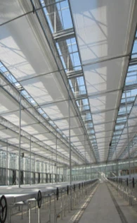 Томатная теплица/ ирригационная гидропонная система